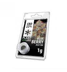 Resine cbd blueberry 22%