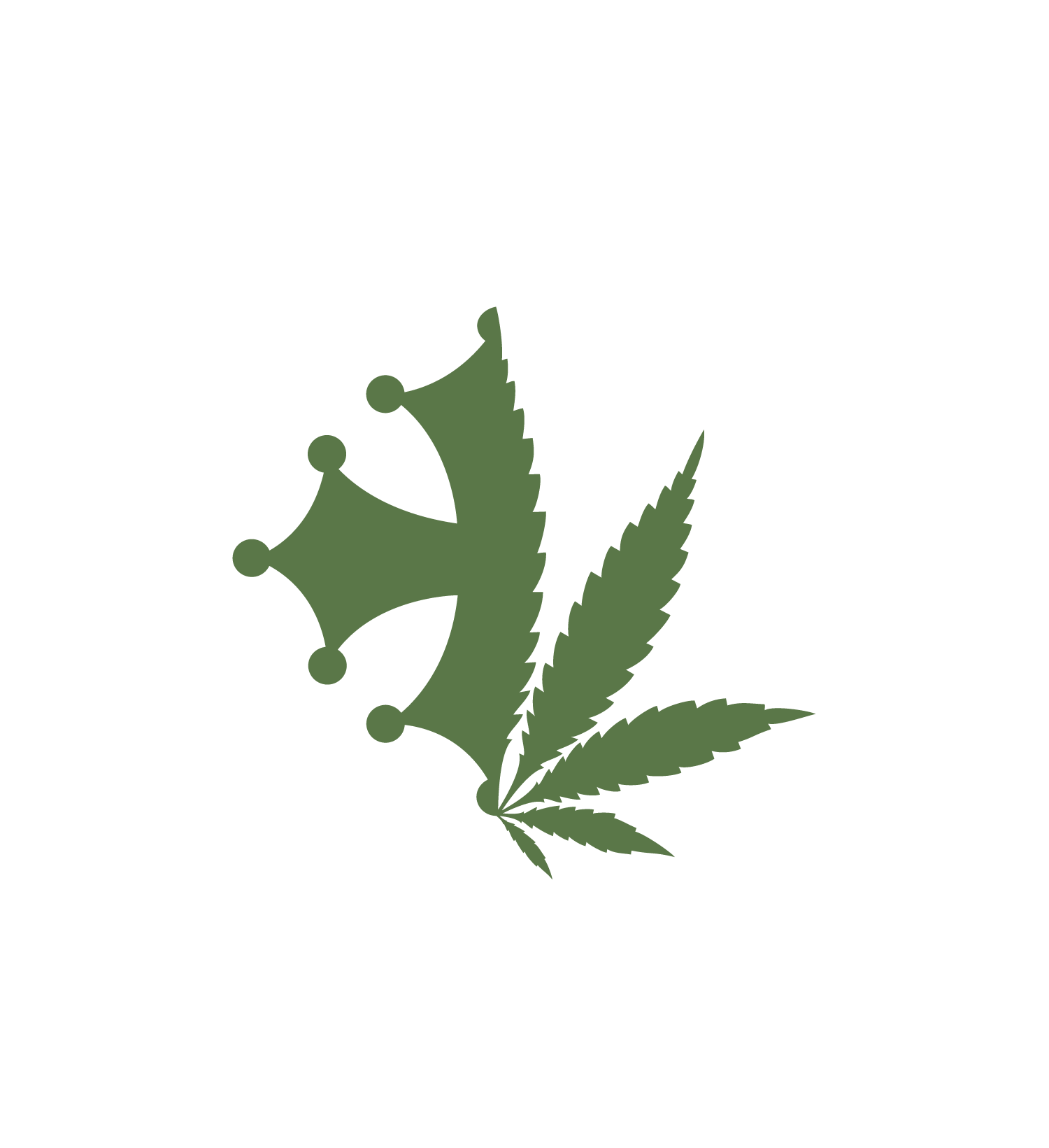CBD Castres